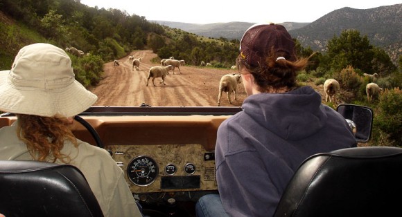 timberline_jeep_tours_2-580x314