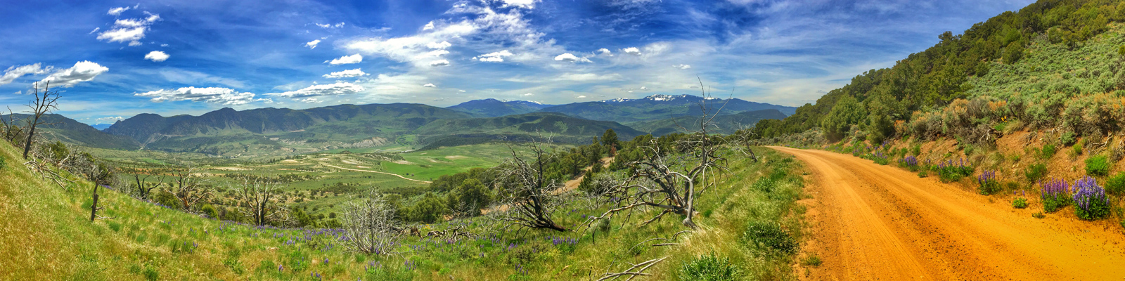 Timberline Tours - Radium State Wildlife Area