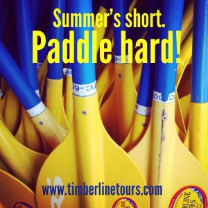 Paddle Hard