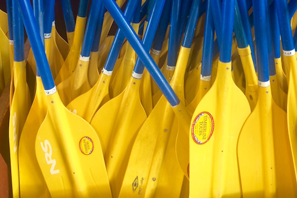 paddles