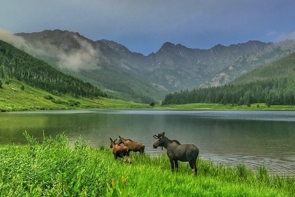 Vail Wedding Transportation