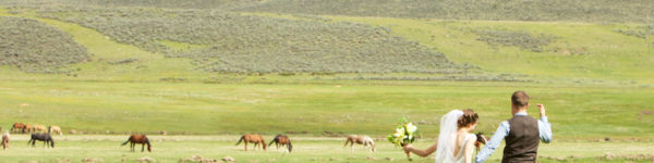 Timberline Tours Vail Wedding Venues